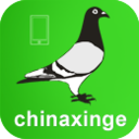 中国信鸽信息网logo图标